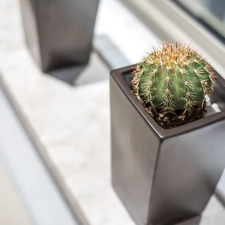 Rodi Luxury Apartament Rhodes City