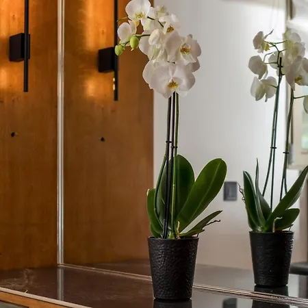 Rodi Luxury * Rhodes City